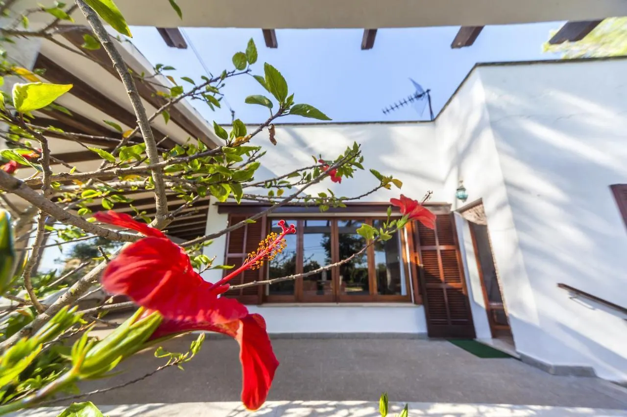 Sa Rota De L'Avi - Can Colombas La Aranjasa Villa