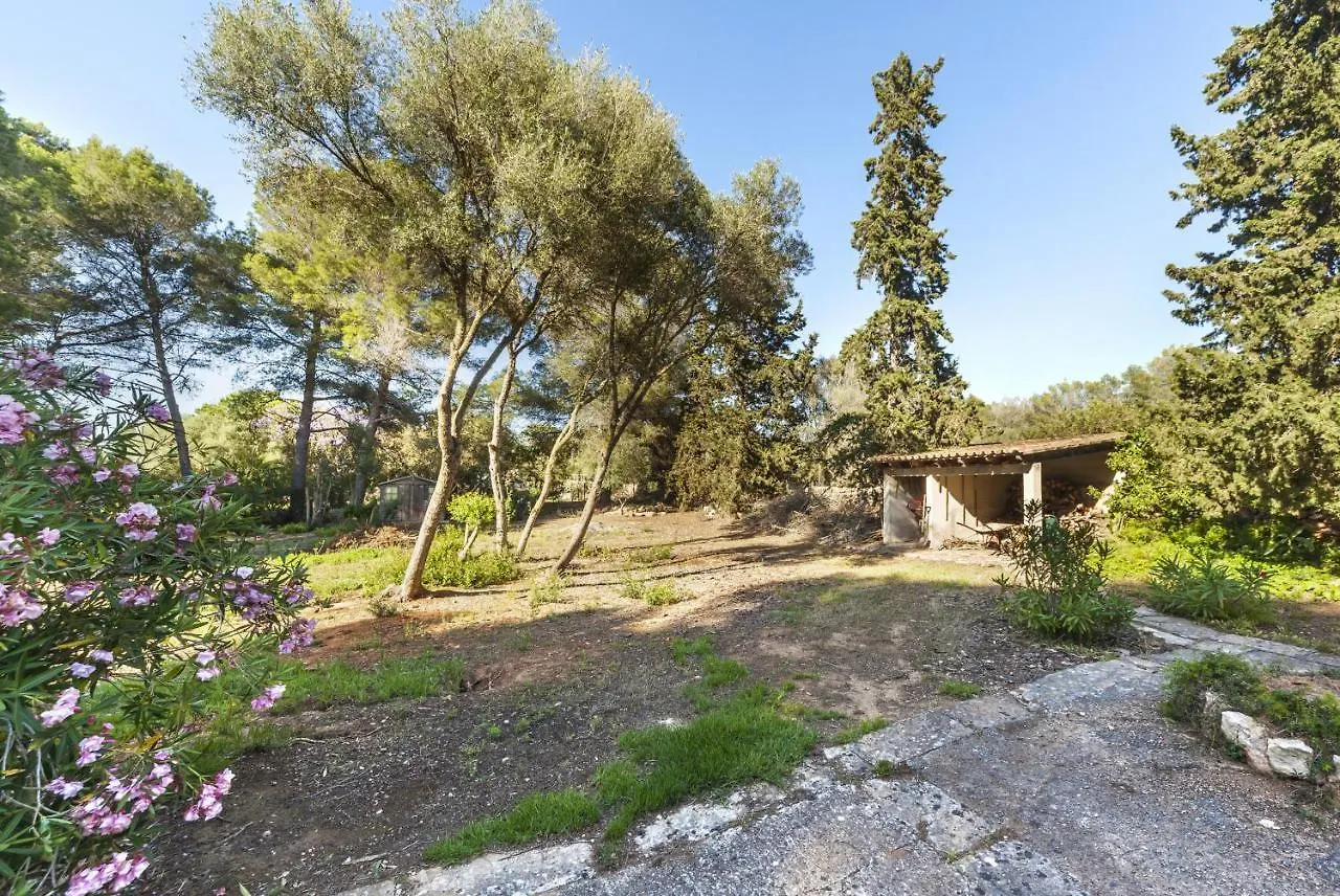 Sa Rota De L'Avi - Can Colombas La Aranjasa Villa